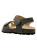 lamino Sandalen grijs