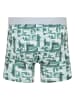 Reebok 3er-Set: Boxershorts "Shand" in Schwarz/ Grün/ Grau
