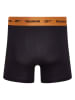 Reebok 3er-Set: Boxershorts "Dangelo" in Schwarz