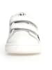 Naturino Leren sneakers "Pinn" wit/meerkleurig