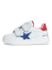 Naturino Leren sneakers "Pinn" wit/meerkleurig