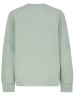 Sublevel Sweatshirt in Mint