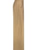 Sublevel Marlenehose in Camel