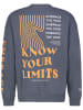 Sublevel Sweatshirt grijs