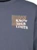 Sublevel Sweatshirt in Grau
