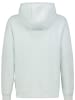Sublevel Hoodie in Mint