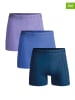 Muchachomalo 3er-Set: Boxershorts in Blau/ Flieder