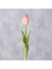 Boltze Kunstpflanze "Tulpe" in Rosa/ Grün - (H)42 cm