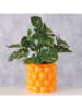 Boltze 2er-Set: Übertöpfe "Orange" in Orange - (H)15 x Ø 17 cm