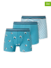 Schiesser 3er-Set: Boxershorts in Türkis