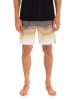 Hurley Badeshorts in Khaki/ Bunt