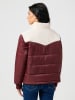 Wrangler Übergangsjacke in Bordeaux