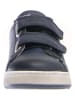 Naturino Leder-Sneakers "Hasselt" in Dunkelblau