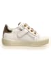 Naturino Leren sneakers "Annie" crème/goudkleurig