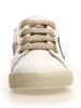 Naturino Leder-Sneakers "Annie"  in Creme/ Gold