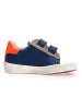 Naturino Sneakers "Annie"  in Dunkelblau/ Bunt