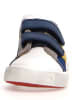 Naturino Sneakers "Annie"  in Dunkelblau/ Bunt