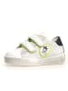 Naturino Leder-Sneakers "Korey" in Weiß/ Grün