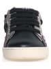 Naturino Sneakersy "Quar" w kolorze czarnym