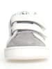 Naturino Leren sneakers "Pinn" wit/grijs/blauw