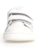 Naturino Leren sneakers "Pinn" wit/paars