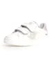 Naturino Leren sneakers "Pinn" wit/paars