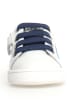 Naturino Leder-Sneakers "Pinn" in Weiß/ Dunkelblau/ Rot