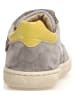 Naturino Leren sneakers "Lilox" grijs/geel