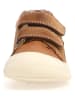Naturino Leder-Sneakers "Babe" in Hellbraun