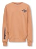 ONLY & SONS Junior Sweatshirt "Tanner" in Orange