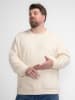 Petrol Industries Sweatshirt in Creme
