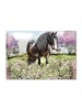 Lutz Mauder Diamond Painting-Set "Pferde" - ab 3 Jahren