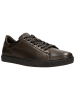 Wojas Leren sneakers bruin