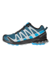 SALOMON Trailrunningschoenen "Xa Pro 3D V8 GTX" blauw