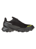 SALOMON Trailrunningschuhe "Alphacross 5 GTX" in Schwarz