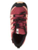 SALOMON Wanderschuhe "Xa Pro V8 CSWP" in Rot/ Beige