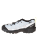 SALOMON Wandelschoenen "Xa Pro V8 CSWP" zwart/lichtblauw