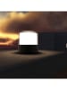 lumisky LED-Dekoleuchte "Bolo" in Transparent - (H)9,5 x Ø 9,4 cm