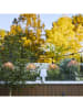 lumisky Lichtguirlande "Hawai" lichtbruin - (L) 18 m