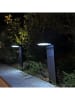 lumisky Lampy solarne (4 szt.) "Ostry" w kolorze czarnym na trzonku - 16 x 41 x 9 cm