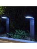 lumisky 8er-Set: Solar-Gartenstecker "Ostry" in Schwarz - (B)16 x (H)41 x (T)9 cm