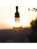 lumisky Decoratieve ledlamp "Cordy" bruin - (L)214 x Ø 10 cm