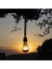 lumisky Decoratieve ledlamp "Cordy" bruin - (L)214 x Ø 10 cm