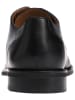 GORDON & BROS Leder-Schnürschuhe ''Gino'' in Schwarz