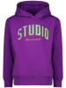 RAIZZED® Hoodie "Valencia" in Violett
