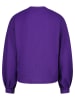 RAIZZED® Sweatshirt in Violett