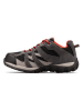 Columbia Wandelschoenen antraciet/zwart/rood