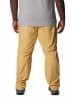 Columbia Functionele afritsbroek "Silver Ridge™" geel
