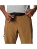 Columbia Functionele short "Silver Ridge™" lichtbruin