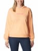 Columbia Hoodie "Columbia Logo™ III" in Orange